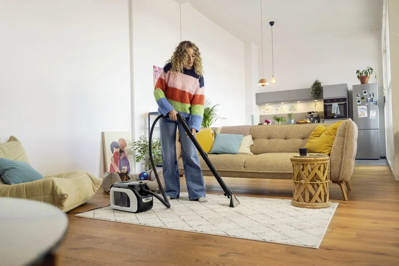 Person reinigt Teppich mit Kärcher Teppichreiniger in modernem Wohnzimmer, Sofa mit Kissen, Pflanzen und Kunst an der Wand.