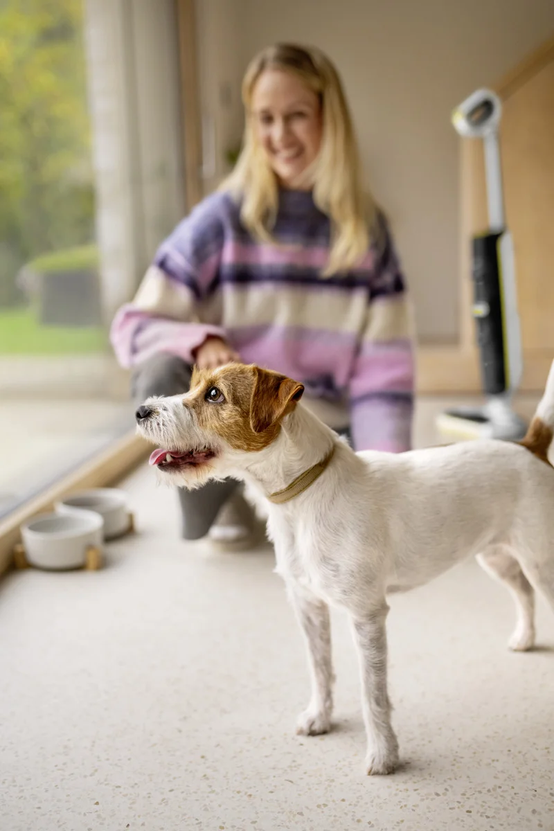 Hund mit braun-weißem Fell steht auf hellem Boden, im Hintergrund eine Person und ein Kärcher Bodenreiniger.