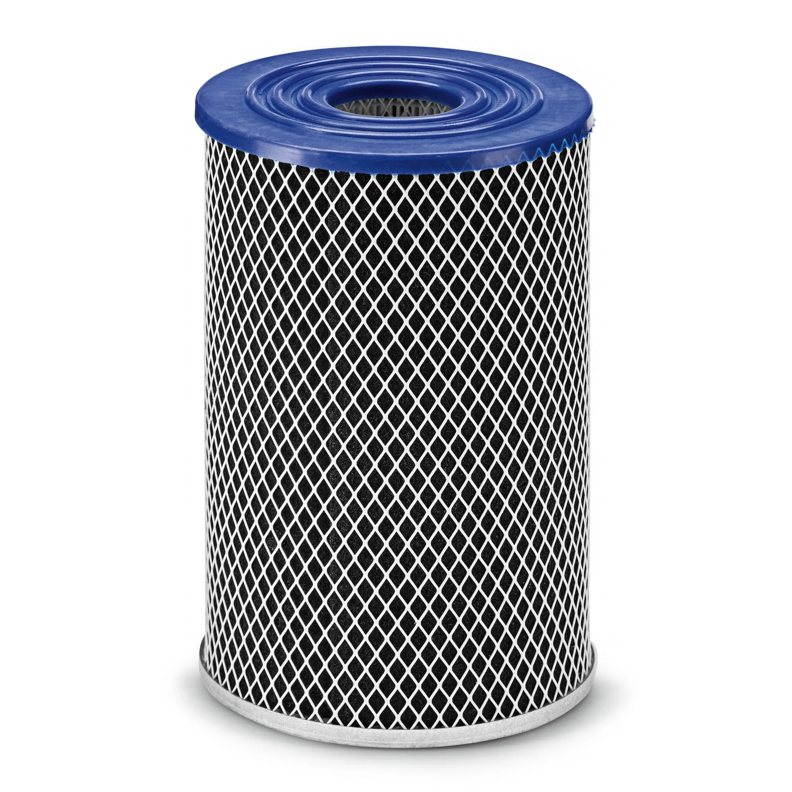 Zylindrischer Filter mit blauem Deckel und schwarzem Netzmuster, auf weißem Hintergrund.
