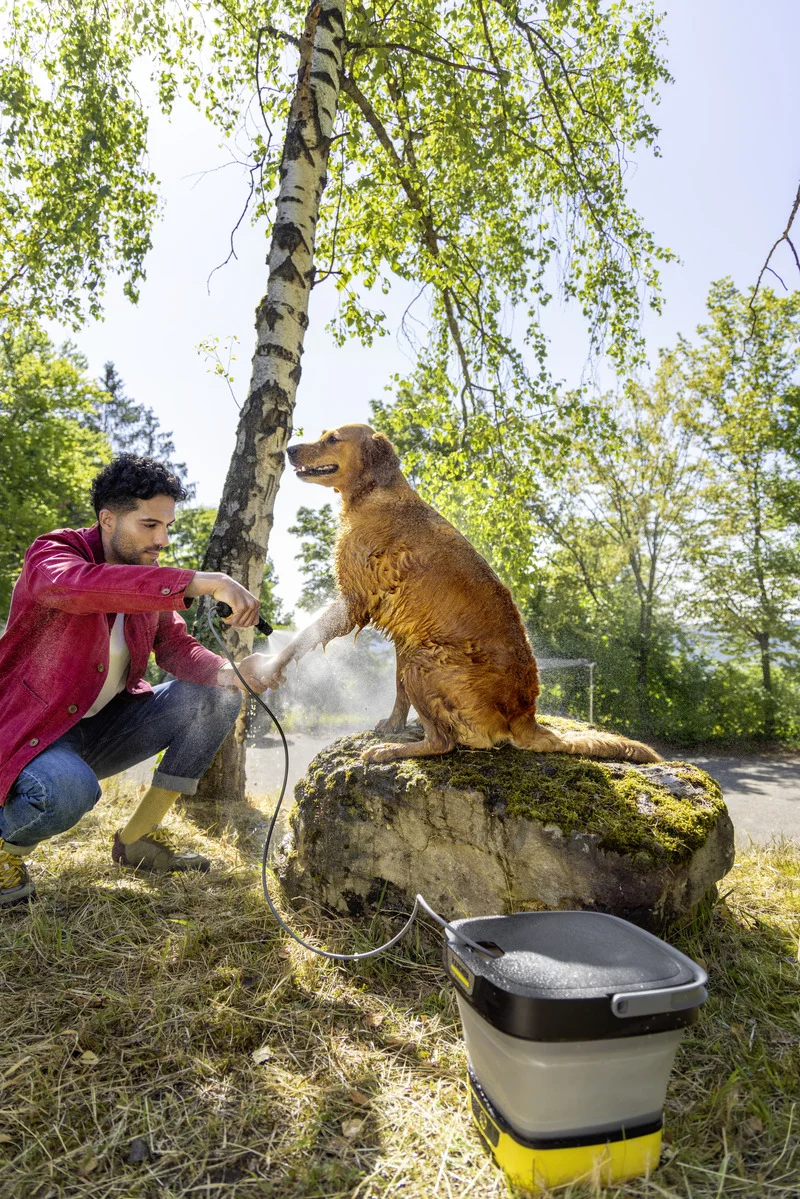 Hund wird im Freien auf einem Felsen mit einem Kärcher Hochdruckreiniger gewaschen, umgeben von Bäumen und Sonnenschein.