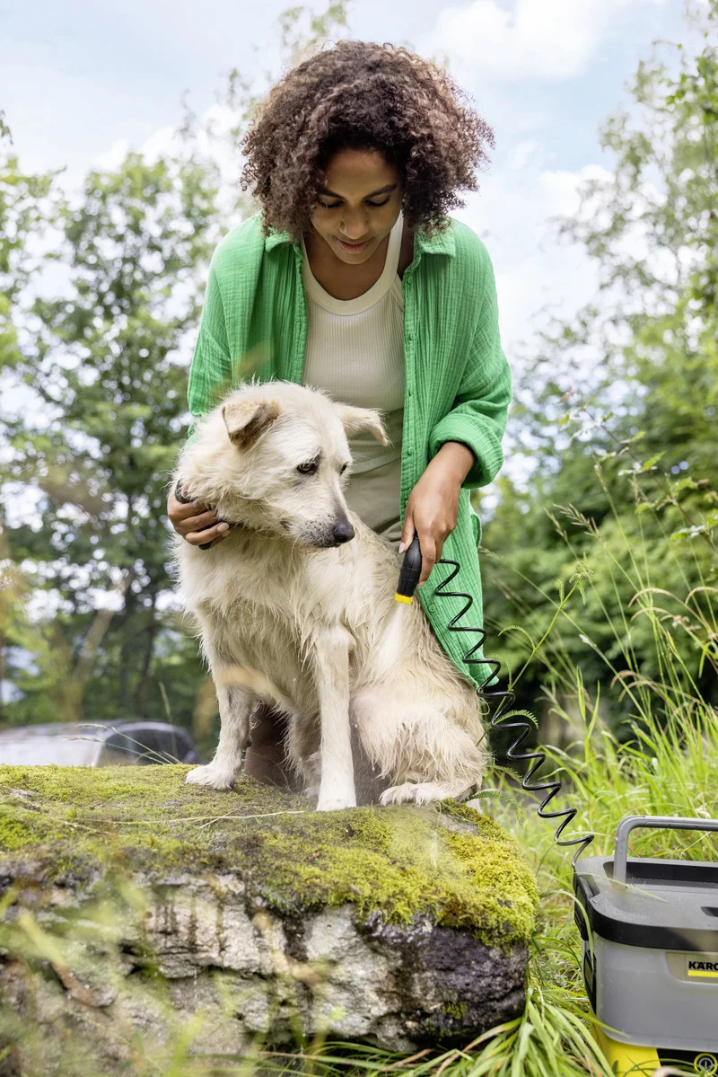 Person in grünem Hemd reinigt weißen Hund mit Kärcher Hochdruckreiniger im Freien auf einem moosbedeckten Stein.