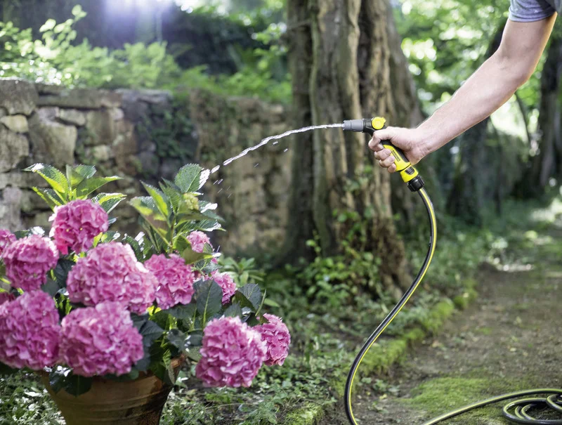 Person gießt rosa Hortensien mit Kärcher Gartenschlauch im sonnigen Garten vor einer Steinmauer.