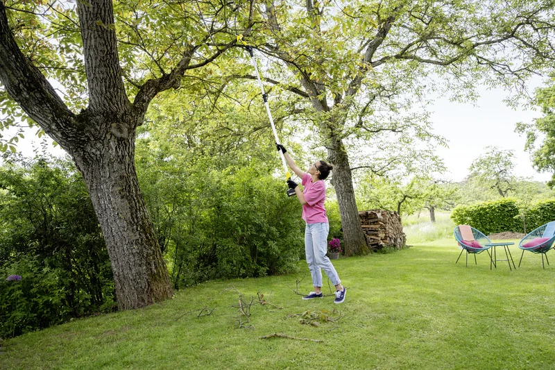 Person in rosa Shirt schneidet mit einem Hochentaster Äste von einem Baum im Garten. Im Hintergrund sind Gartenmöbel und Holzstapel sichtbar.
