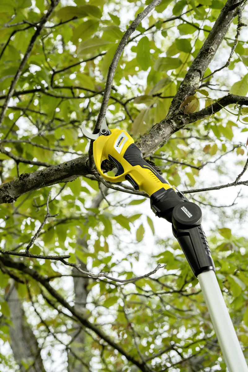 Kärcher Astschere schneidet Ast in einem Baum. Umgeben von grünen Blättern im Freien.