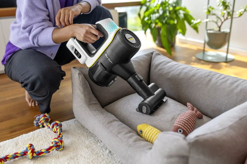 Person reinigt ein Hundebett mit einem Kärcher Handstaubsauger. Spielzeug liegt im Bett. Pflanzen im Hintergrund.