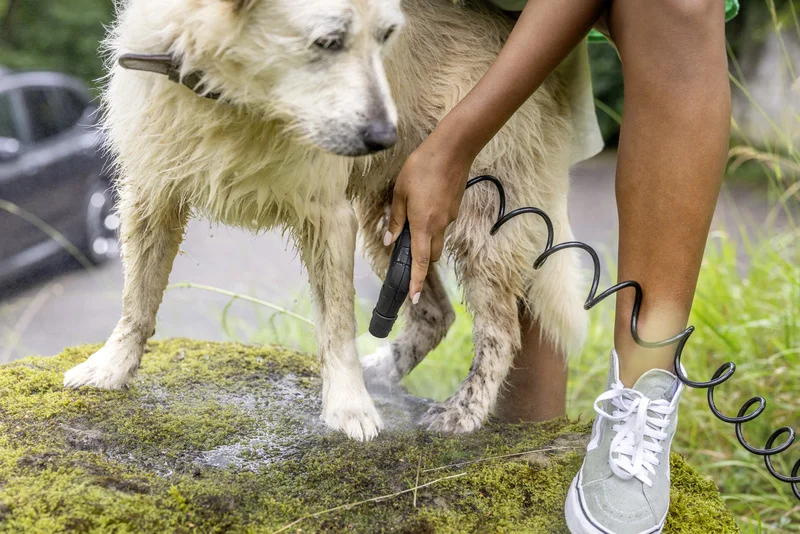 Person reinigt Hund mit Kärcher Hochdruckreiniger auf moosbedecktem Stein im Freien, neben einem geparkten Auto.