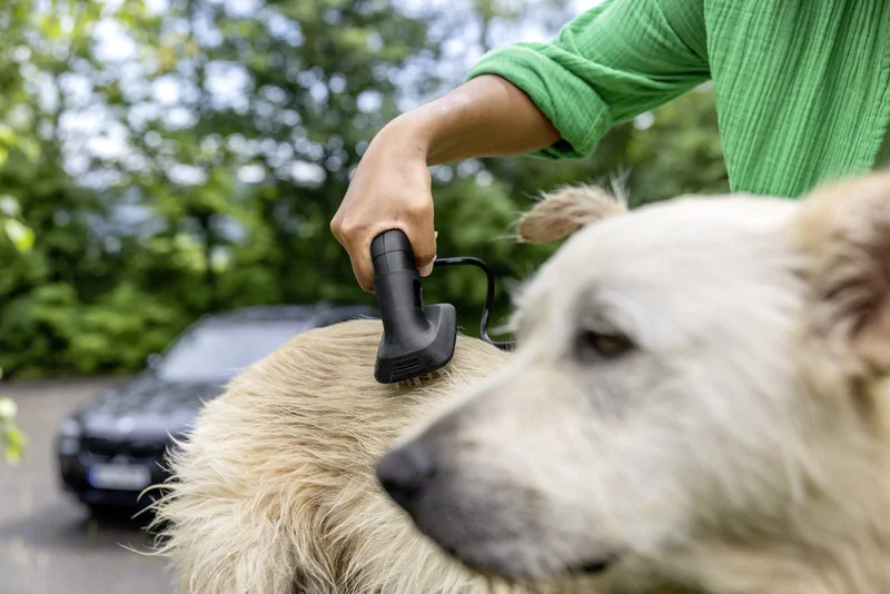 Hand hält Kärcher Tierbürste und bürstet Hund im Freien. Unscharfes Auto im Hintergrund.