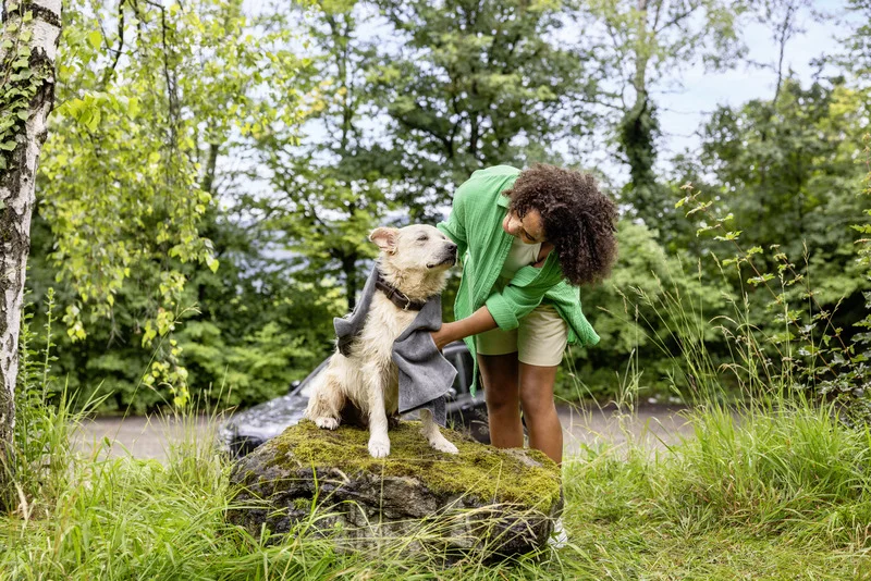 Kind in grüner Jacke trocknet nassen Hund mit Handtuch auf moosbewachsenem Stein im Wald. Hund sitzt ruhig, umgeben von Bäumen und Gras.